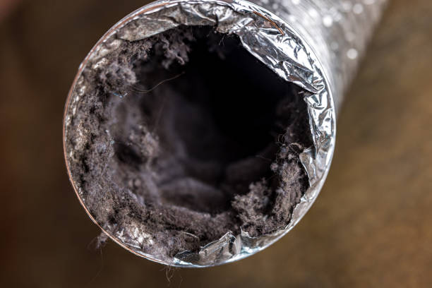 Best Local Air Duct Cleaning Services  in Ames, TX